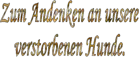 Herzlich Willkommen
bei dem Shih Tzu Kennel
"vom Paradiesgarten"